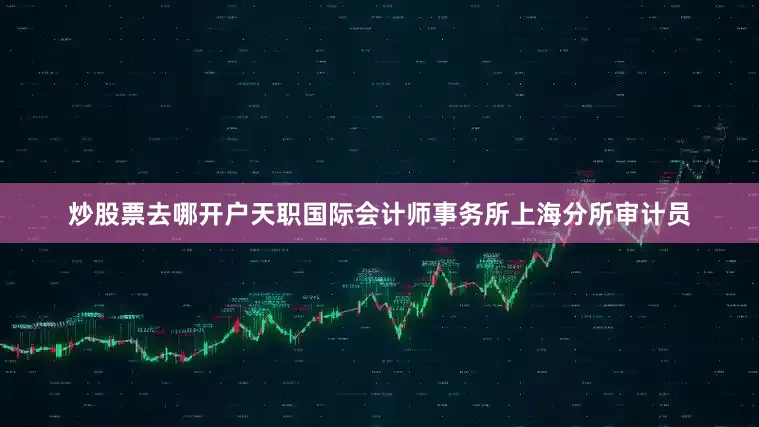 炒股票去哪开户天职国际会计师事务所上海分所审计员