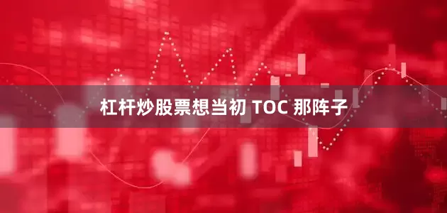 杠杆炒股票想当初 TOC 那阵子