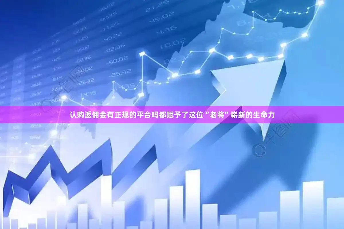 认购返佣金有正规的平台吗都赋予了这位“老将”崭新的生命力