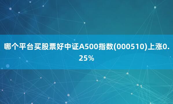 哪个平台买股票好中证A500指数(000510)上涨0.25%