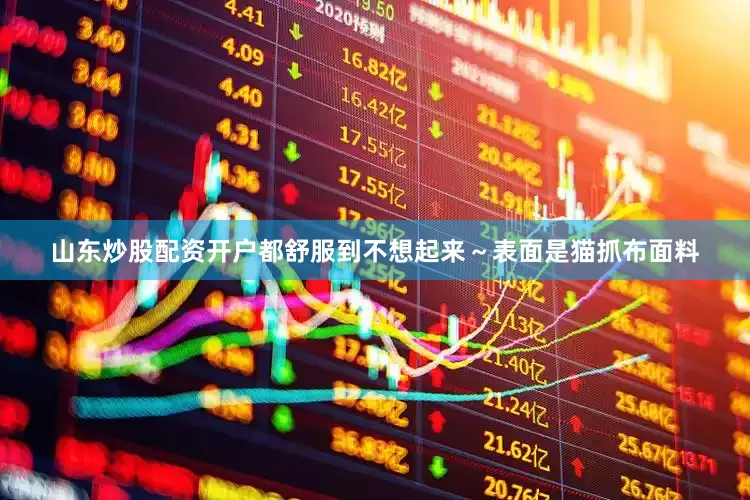 山东炒股配资开户都舒服到不想起来～表面是猫抓布面料
